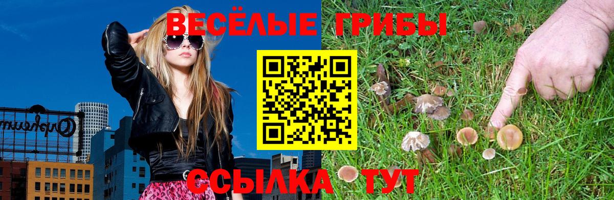 Псилоцибиновые грибы MAGIC MUSHROOMS  Вход с VPN  Мегион 